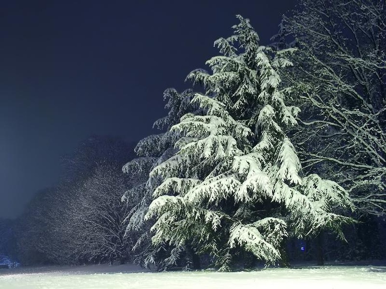 034 - Walking over snow
